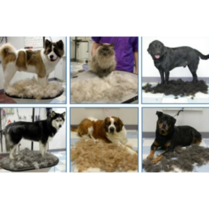 Фурмінатор з кнопкою для маленьких довгошерстих собак FURminator short Hair Small Dog 4.5 см
